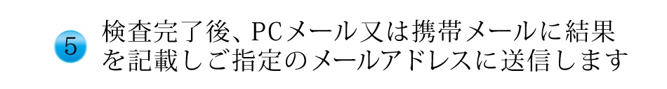 結果をメールアドレスに送信します